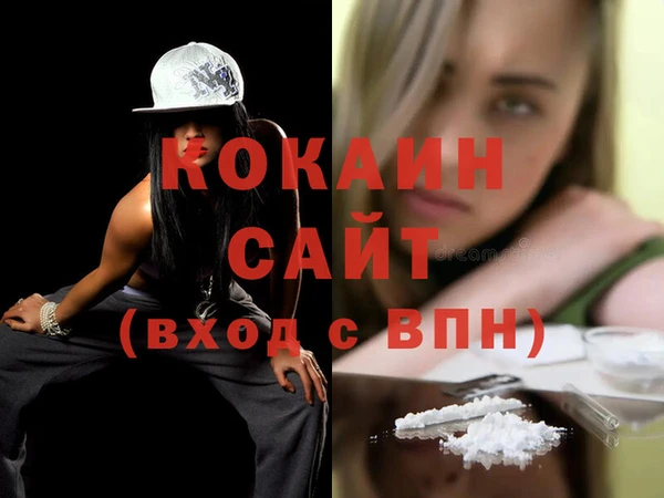дживик Пересвет