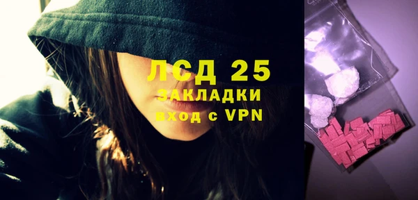 дживик Пересвет