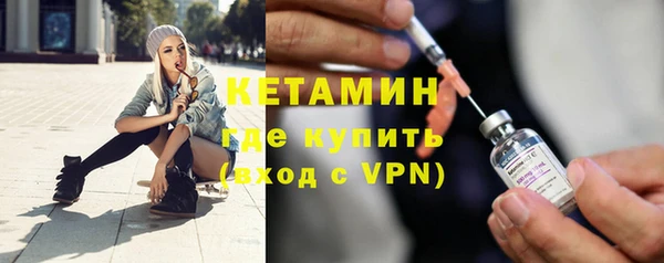 дживик Пересвет