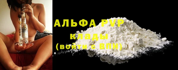 дживик Пересвет