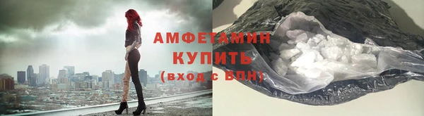 дживик Пересвет