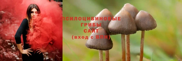 соль ск Иноземцево