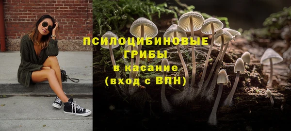 экстази Переславль-Залесский