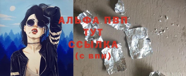 дживик Пересвет