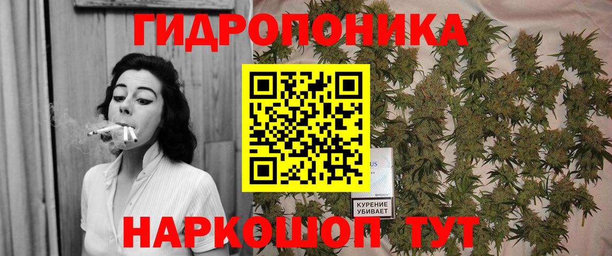 Марихуана Amnesia Удомля